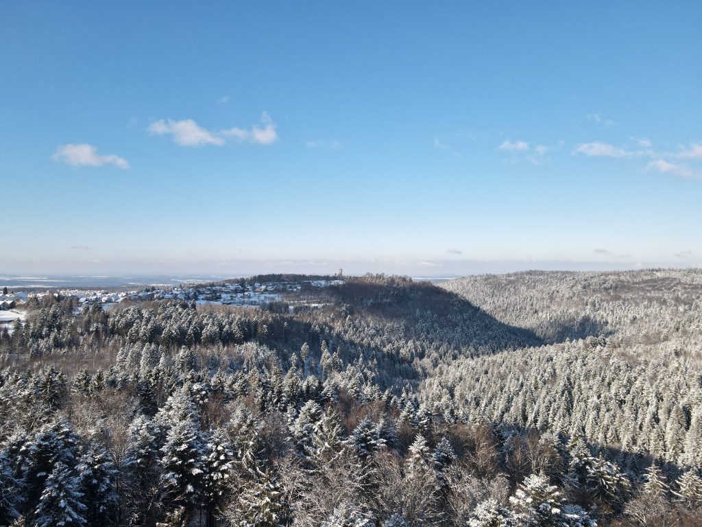 Schwarzwald im Winter von Oben