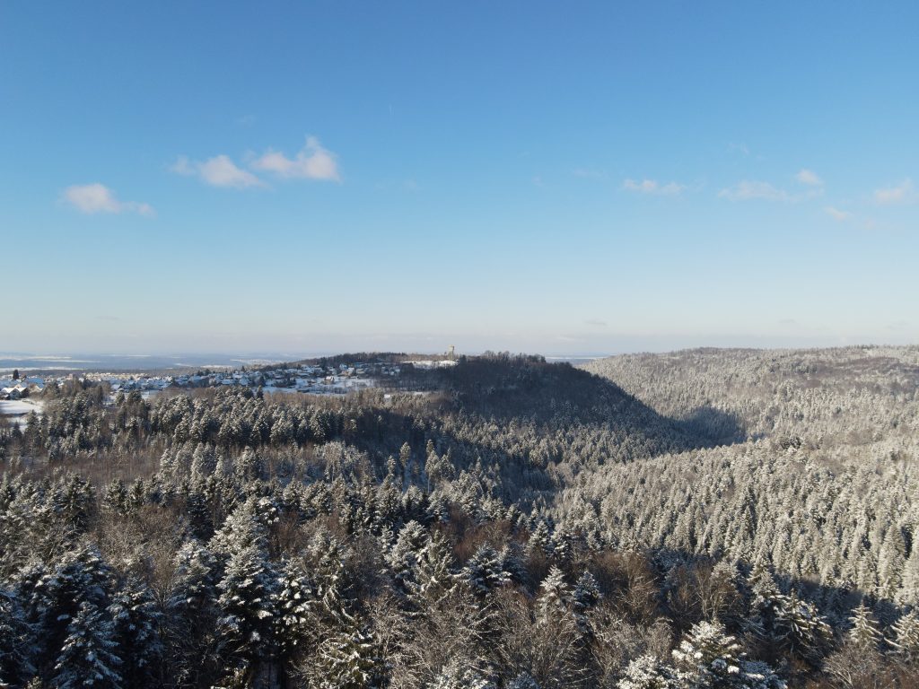 Schwarzwald im Winter von Oben
