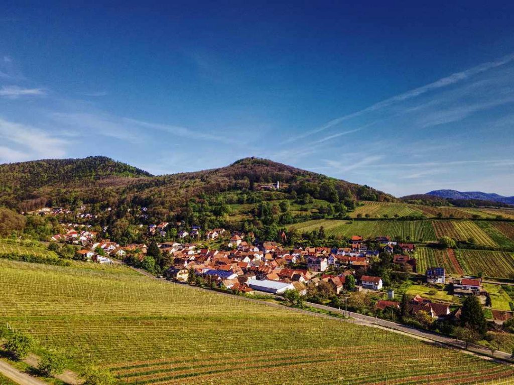 Blick auf Leinsweiler
